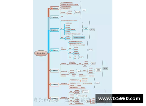 星欧娱乐NBA球员生涯：全面分析与深度探讨 - 副本